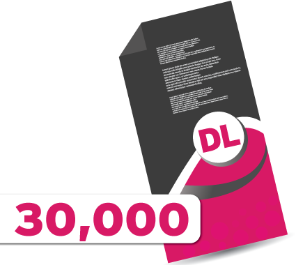 30,000 DL Leaflets